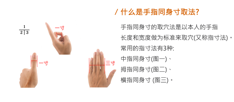 手指同身寸說明.png