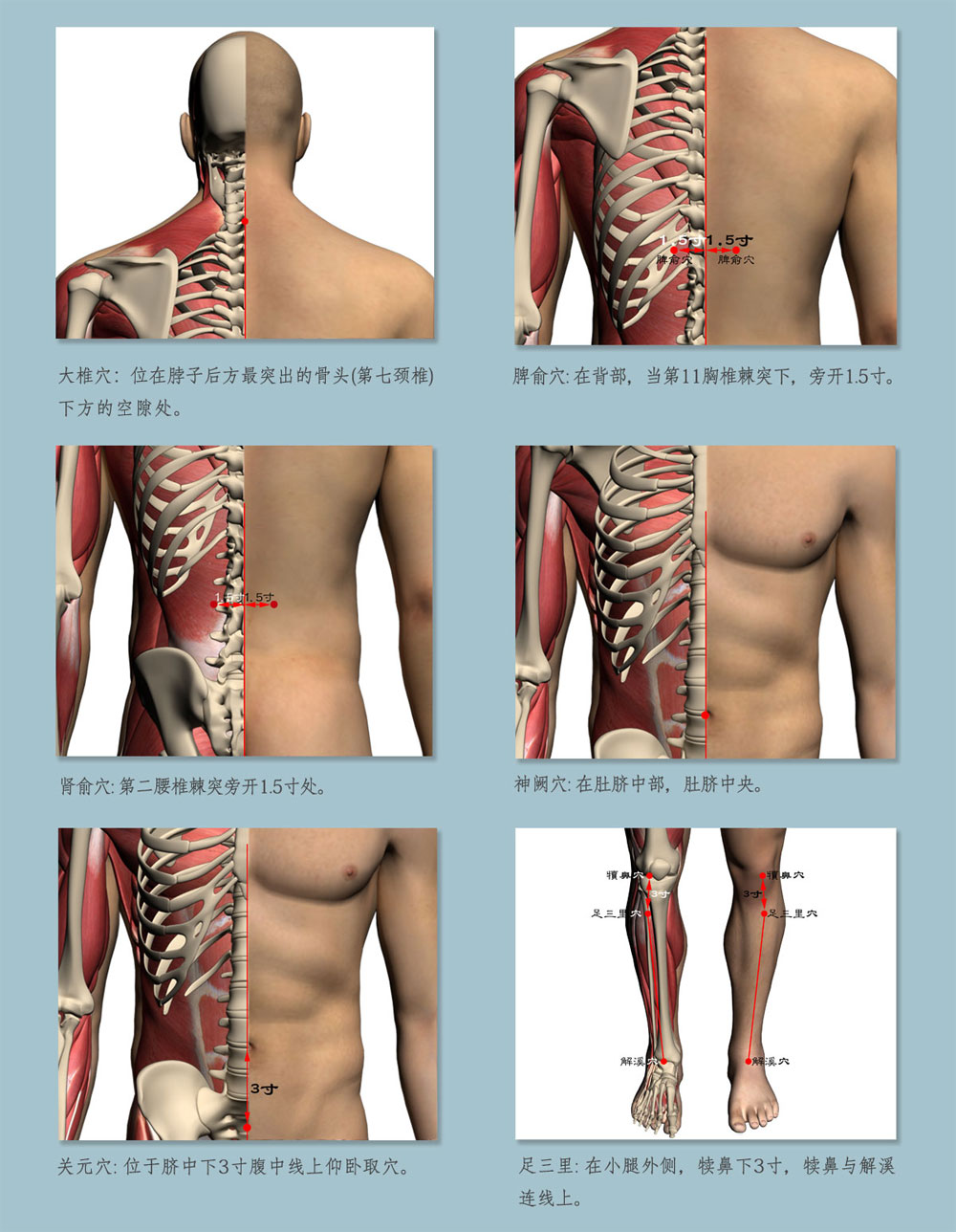 1571282720775131.jpg 08小滿.jpg