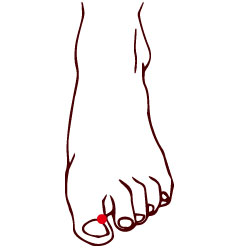 1574317798103525.jpg 大敦穴.jpg