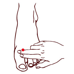 1574317815664410.jpg 太沖穴.jpg