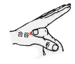 1579252008315465.jpg 合谷.jpg